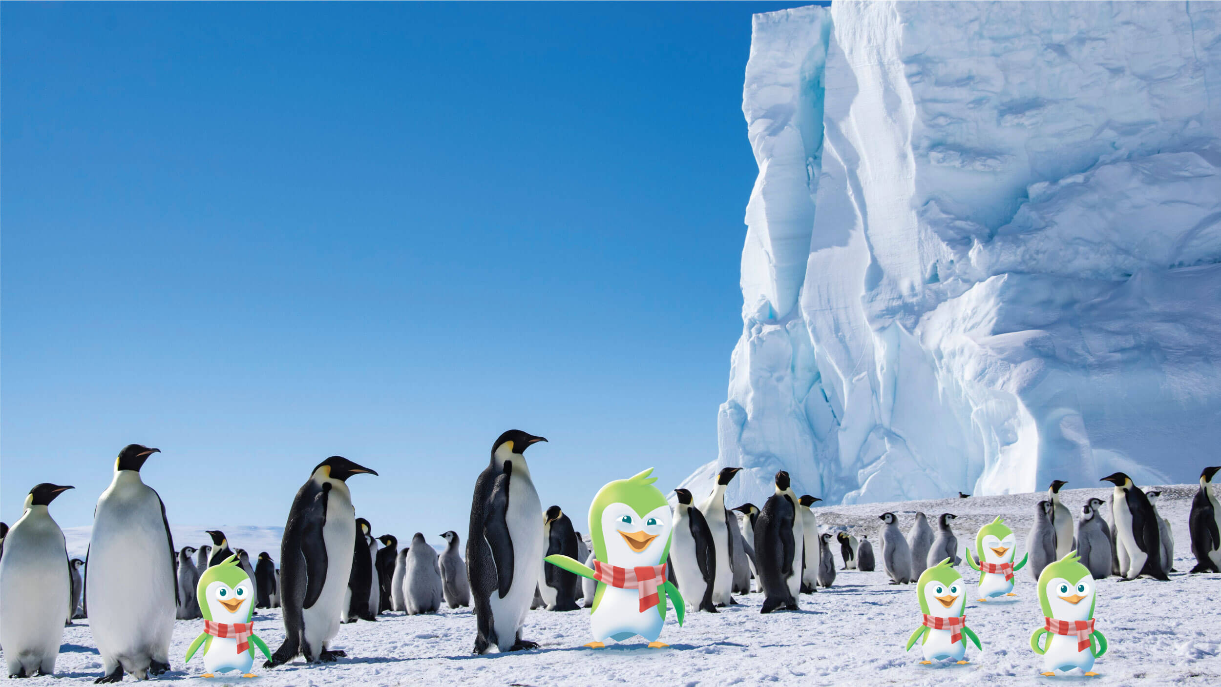 Green Penguin Background Image